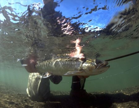 wta_708_YO4PS0_228_Fishing(2)