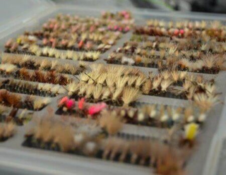 wta_709_A7EYUX_DSC_0379