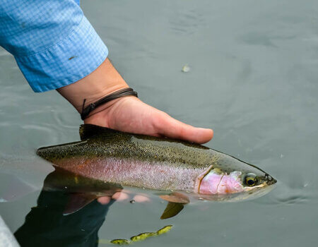 wta_709_B9G310_229_Fishing(12)