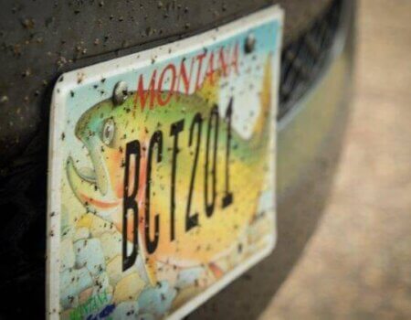 wta_709_E1KRN3_DSC_0367-1