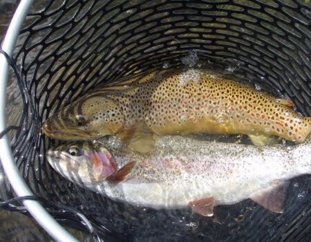 wta_709_E72TBZ_2012-06-13+15.42.41[1]