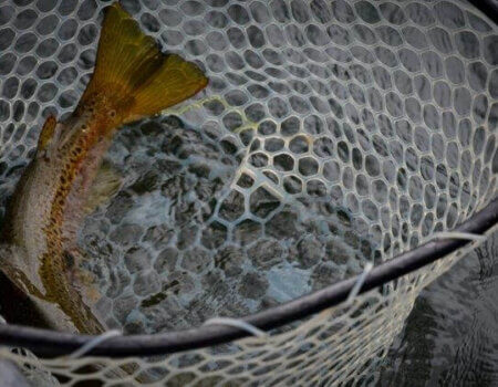 wta_709_FK5ID5_DSC_0438-14