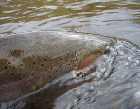 wta_709_H7JBJ2_2013-10-14+13.45.40[1]