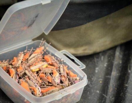 wta_709_IUUKE8_DSC_0370-2