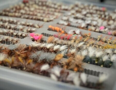 wta_709_PMI4Z5_229_Fishing(9)