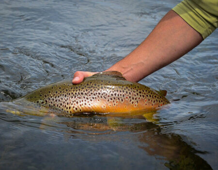 wta_709_SD7FMP_229_Fishing(5)