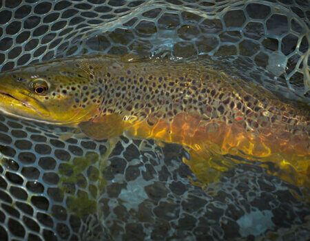 wta_709_YIWWOJ_229_Fishing(3)