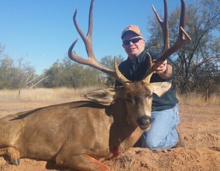 wta_726_3U7IFA_232_MuleDeer(2)