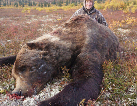 wta_729_0LMIEN_060_brownbear-37