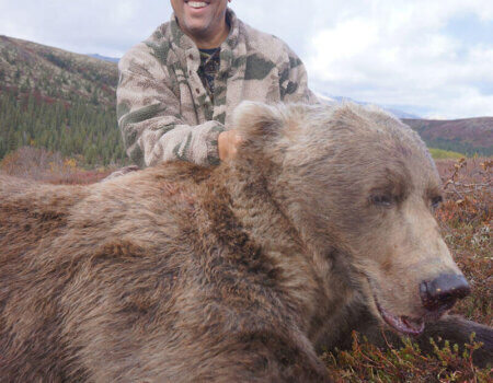 wta_729_33R78K_060_brownbear-40