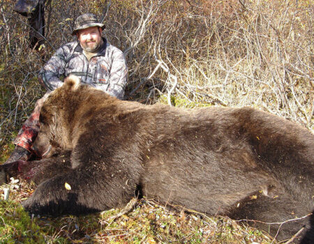 wta_729_5X6TSW_060_brownbear-7