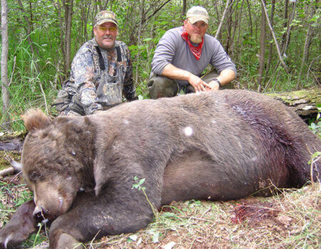 wta_729_7TDLRJ_060_brownbear-15