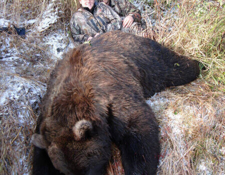 wta_729_CI06XL_060_brownbear-19