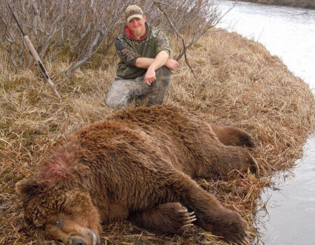 wta_729_G4JOBF_060_brownbear-21