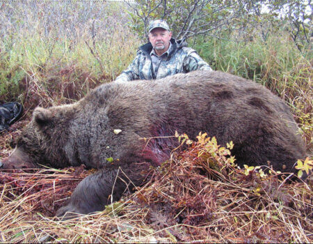 wta_729_GPZK4S_060_brownbear-4