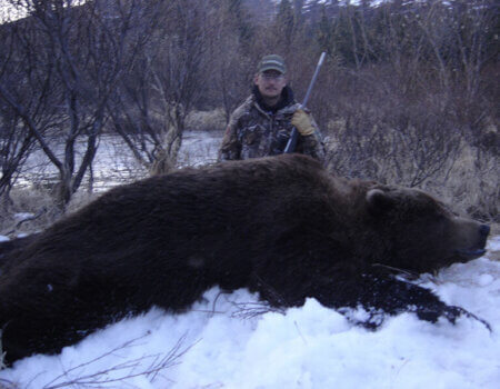 wta_729_GTLZ63_060_brownbear-18