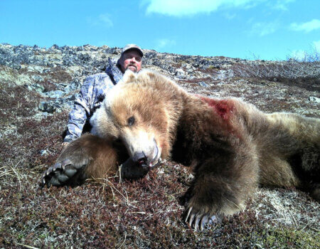 wta_729_P7T44B_060_brownbear-41