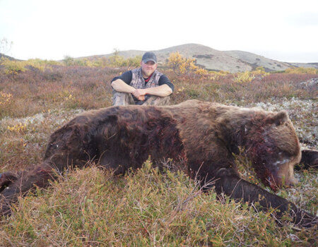 wta_729_T5EYTP_060_brownbear-39