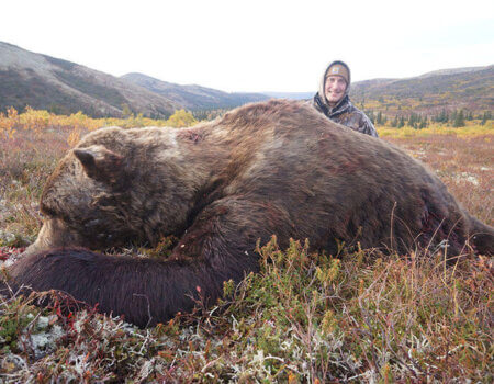 wta_729_W18C6Y_060_brownbear-38