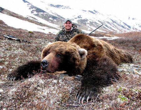 wta_729__featured_WBMECZ_060_brownbear-24