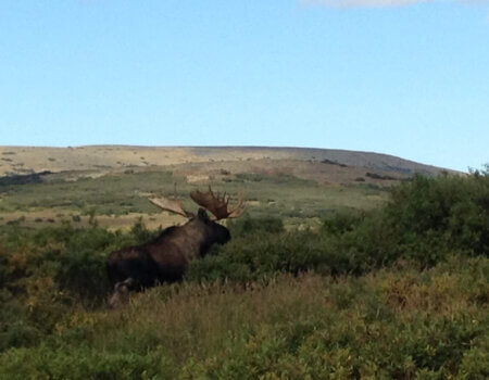 wta_730_LT5Q4J_060_akmoose-10