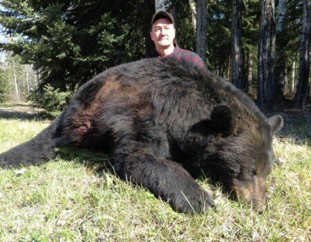 wta_733_5IWBBB_236_BlackBear(9)