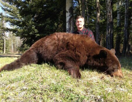 wta_733_5WJEAY_236_BlackBear(11)