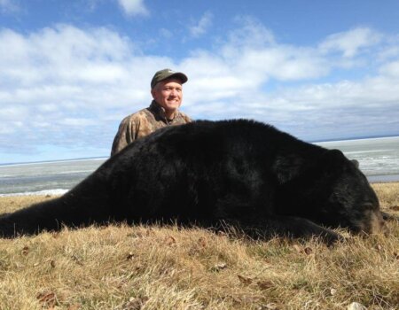 wta_733_B0KFFE_236_BlackBear(8)