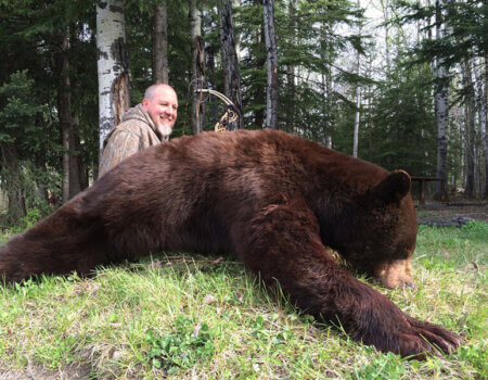 wta_733_N3HX8Z_236_BlackBear(5)