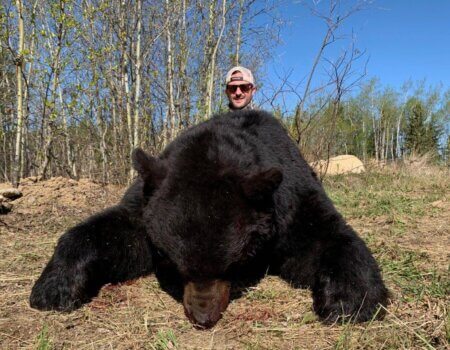 wta_733_ZGRKP2_Bear2