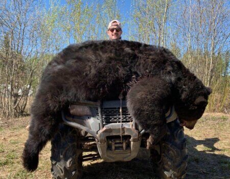 wta_733__featured_7FM4LL_Bear