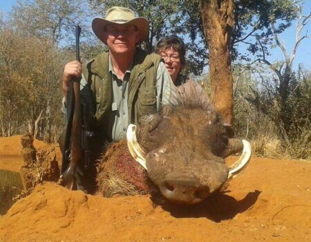 wta_736_QN6N59_warthog