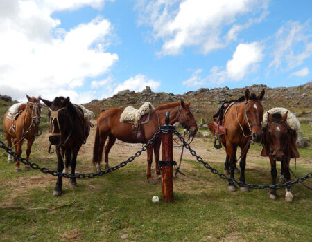 wta_738_4TQQEZ_DSCN9842