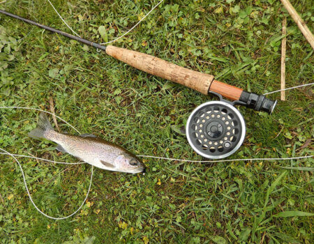 wta_738_5X78UN_DSCN9877