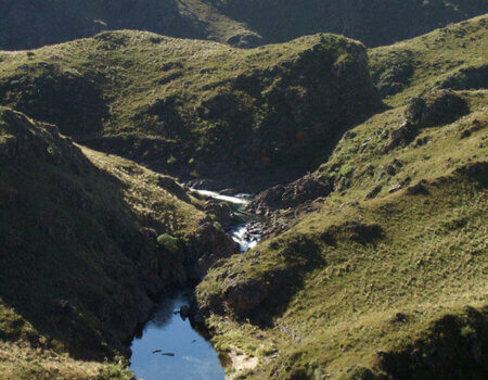 wta_738_72NQ1S_Dick--Ridr2010108