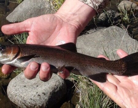 wta_738_7QWZBA_DSC04043