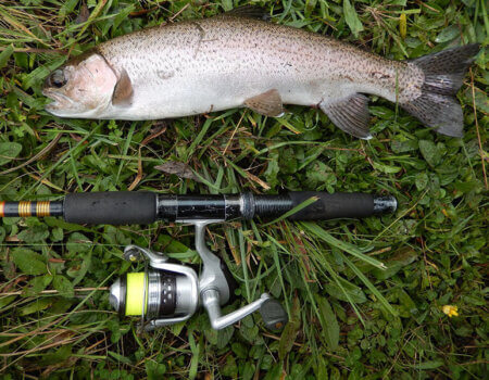 wta_738_99T4D4_DSCN9866