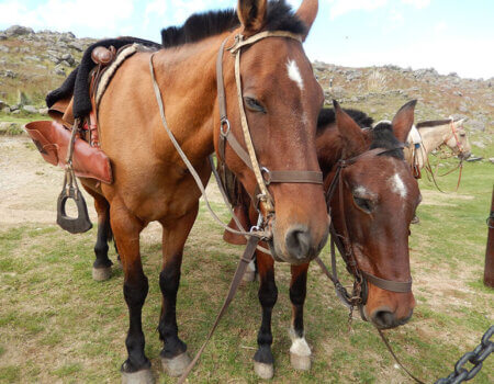 wta_738_BM8IR8_DSCN9843