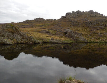 wta_738_HFHZVN_DSCN9871