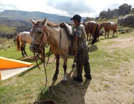 wta_738_JLX2M1_DSCN9839