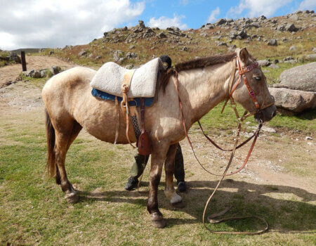 wta_738_LEKHFK_DSCN9840