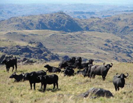 wta_738_M4ORAE_DSC08594