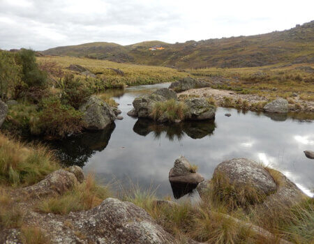 wta_738_M4XZVZ_DSCN9864