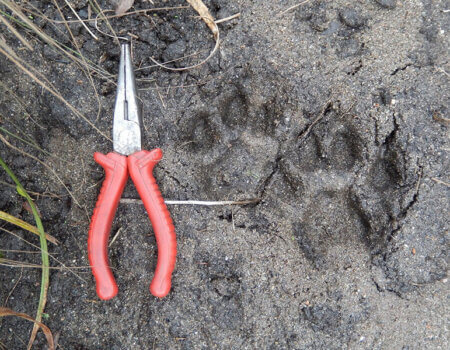 wta_738_WFU0QE_DSCN9863