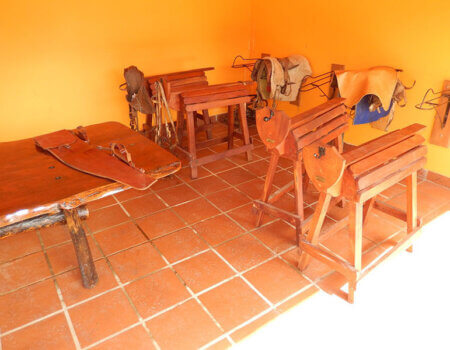 wta_738_Z3TD13_DSCN9841