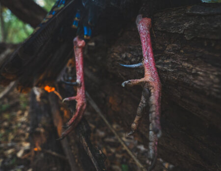 wta_752_Balam_Knox_ (27 of 42)