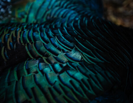 wta_752_Balam_Knox_ (29 of 42)