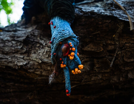 wta_752_Balam_Knox_ (33 of 42)