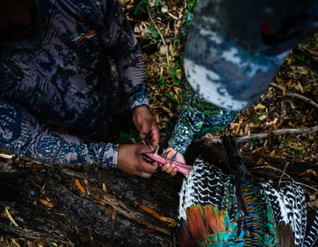 wta_752_Balam_Knox_ (35 of 42)