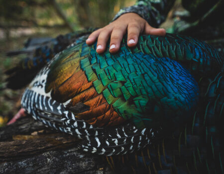 wta_752_Balam_Knox_ (36 of 42)